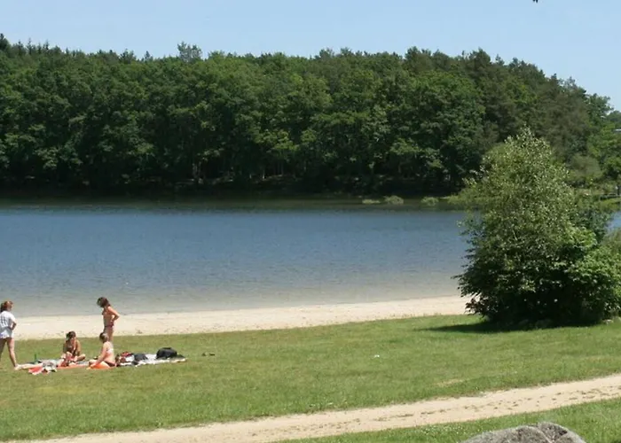 Кемпинг Mobil-home Confortable Avec Terrasse A - Api-1-52-1315