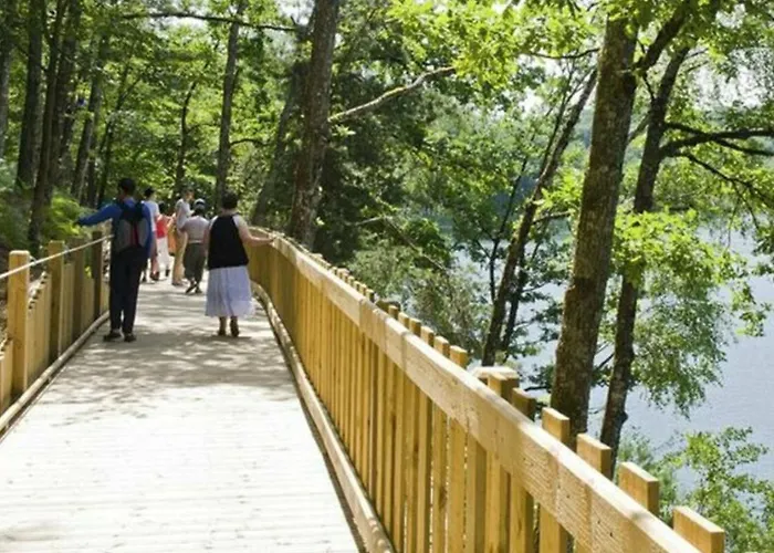 Кемпинг Mobil-home Confortable Avec Terrasse A - Api-1-52-1315 Saint-Gerons